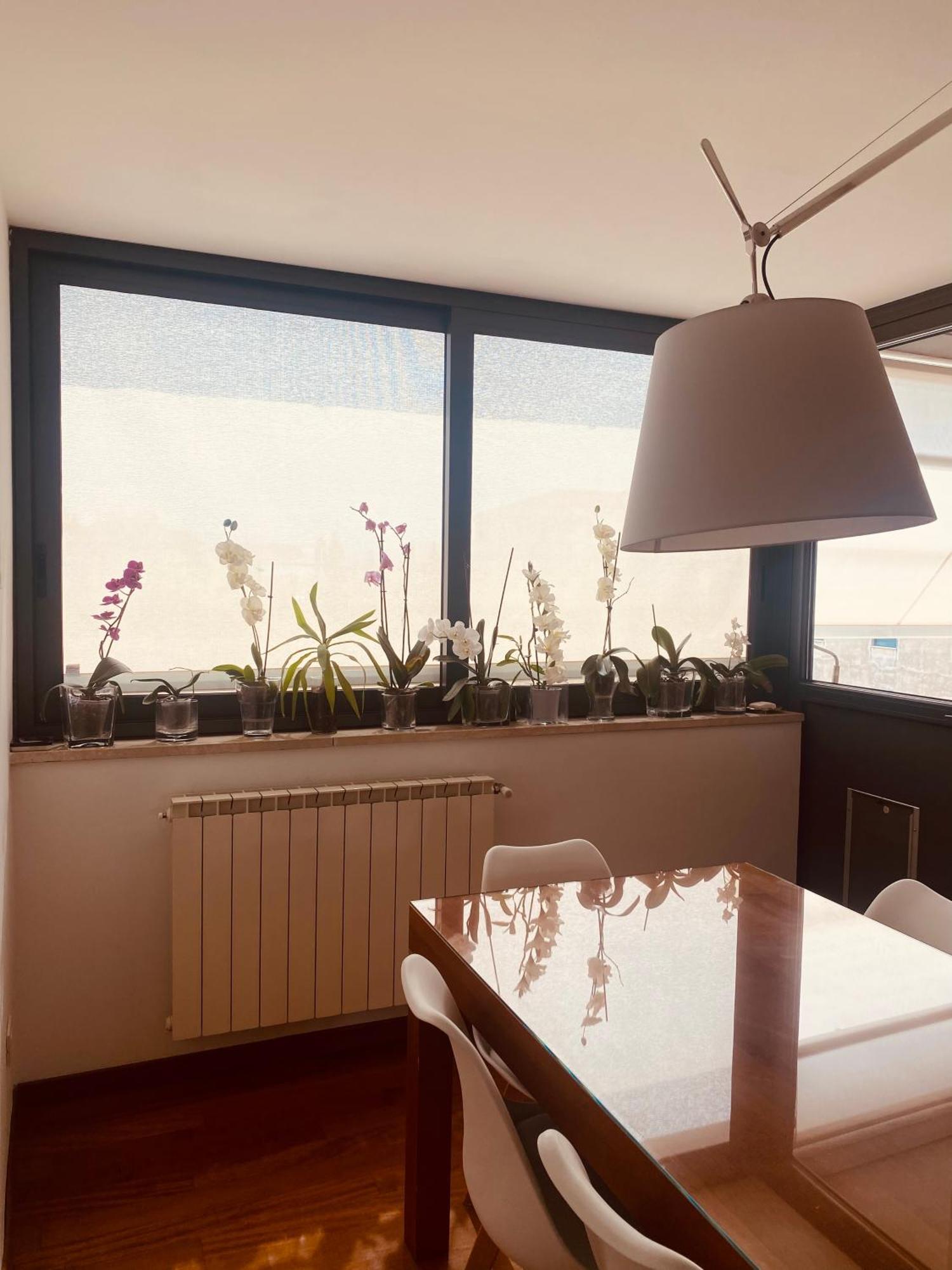 La Casa Di Dani Apartment ฟลอเรนซ์ ภายนอก รูปภาพ